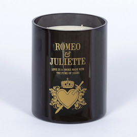 ROMÉO et JULIETTE - LE SALON DES REFUSÉES